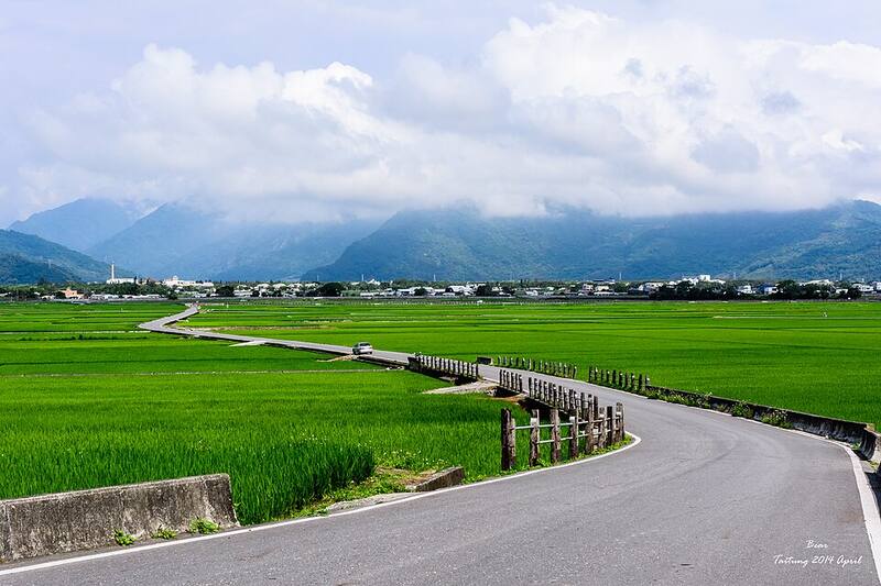池上(备选:花东纵谷):池上的稻田